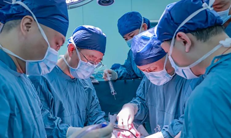 Трансплантиран е успешно за първи път в света черен дроб от прасе на човек